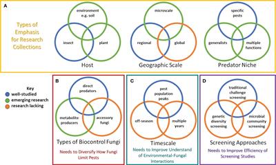 Opportunities for optimizing fungal biological control agents for long-term and effective management of insect pests of orchards and vineyards: a review